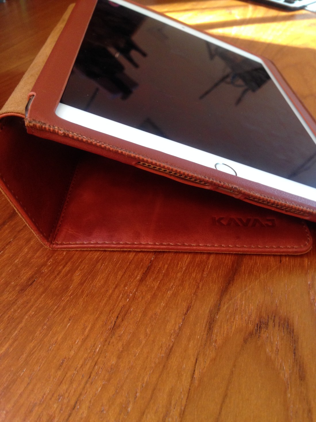 1_Case at Other Angle